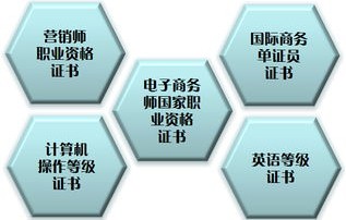 电子商务专业毕业生去向