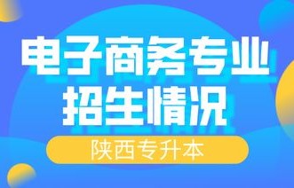 电子商务升本科专业前景