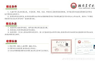 电子商务专业要求学历吗