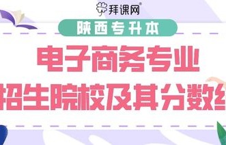 专接本电子商务专业院校