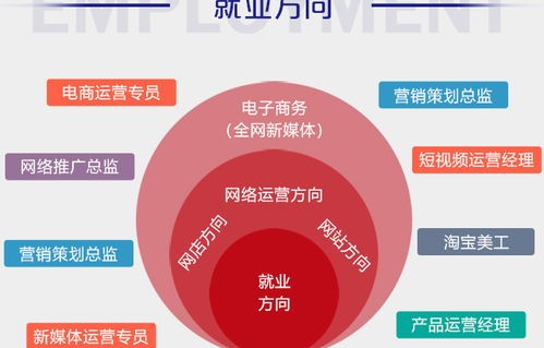 电子商务创业方向是什么专业