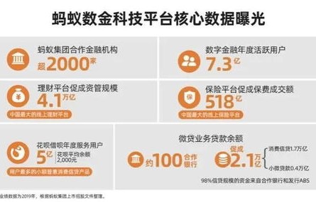 专业性电子商务服务费