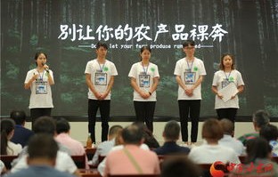 甘肃电子商务专业能报哪个学校