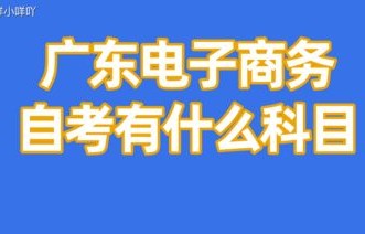 电子商务专业能考哪些局