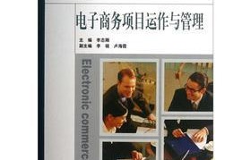 电子商务专业的工作经历