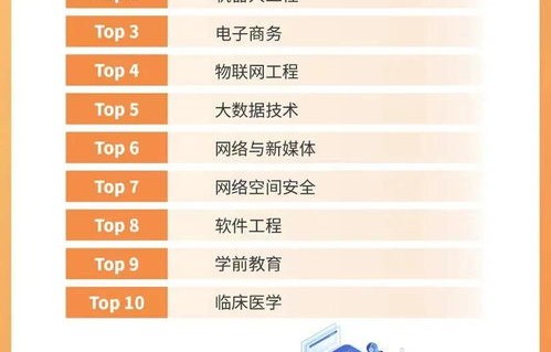 单招电子商务专业可以吗