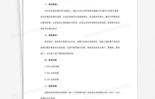 电子商务跨专业实训报告