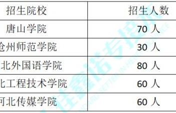 电子商务本科可选专业吗