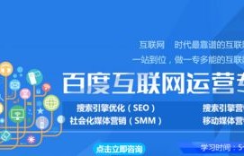 电子商务专业技术主系列