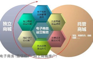 电子商务专业属哪类学科