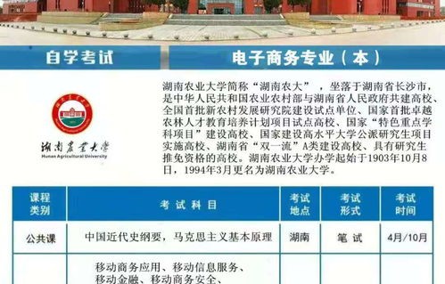 电子商务单招专业有哪些