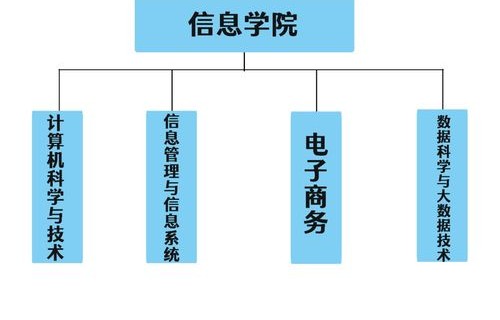 谈谈对电子商务专业的认识