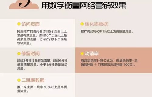 专业知识电子商务是什么
