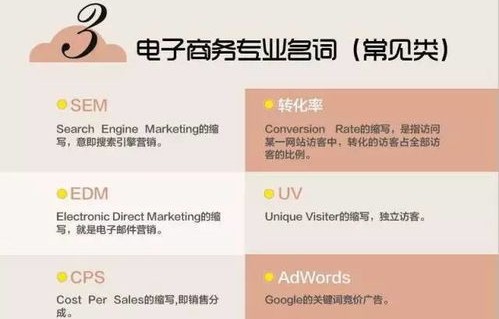 电子商务专业介绍怎么说