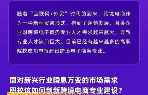 跨境电子商务业务专业性