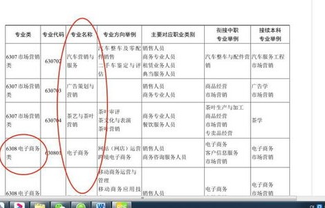 电子商务属于专业类别划分表