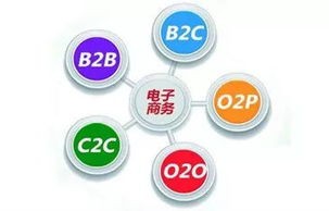 电子商务专业还是广告学
