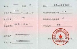 电子商务专业能考什么证