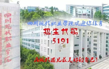 电子商务单招能选什么专业