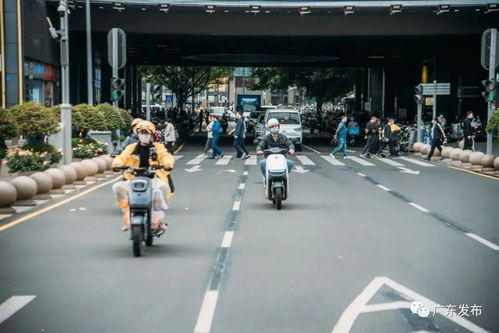 柬埔寨公主深圳遛电子狗，异国文化中的科技新体验