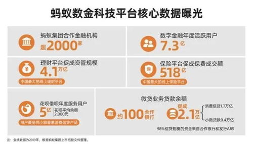 专业性电子商务服务费