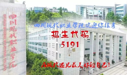 电子商务单招能选什么专业