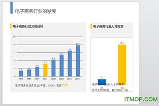 电子商务专业人才需求ppt