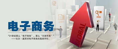 专什本网课电子商务专业