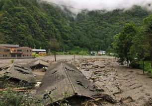 四川丹巴泥石流4人失联