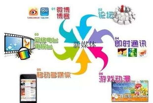 电子商务专业是哪一类