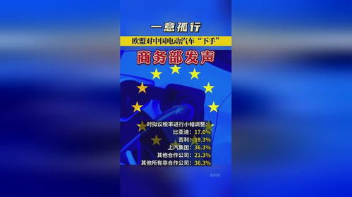 商务部：欧盟一意孤行 中方对等限制